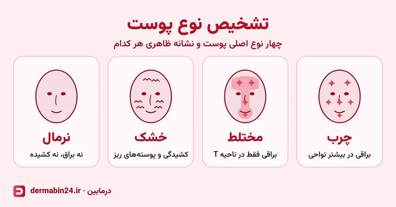 طرح چهار صورت با برچسب پوست چرب، مختلط، خشک و نرمال؛ براقی در کل صورت، براقی فقط در ناحیه T، پوستههای ریز و پوست بدون براقی یا کشیدگی